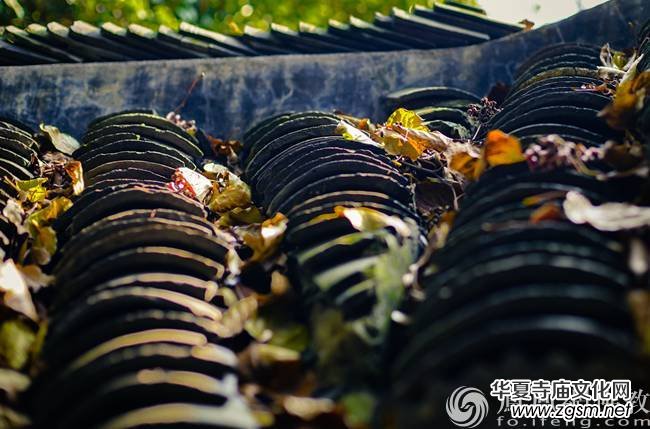  �����������⡱�ġ����硱��ָ�ġ����硱��