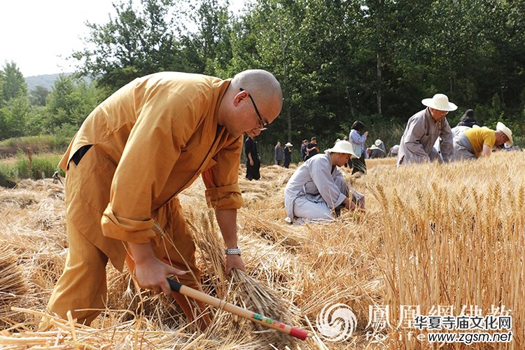 ����һ���S�ռ�����ɽ������ɮ���]��ո�С��