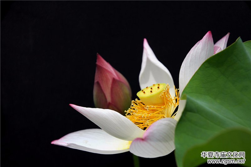 �Α{���ж������ Ҳ����ס�@����?x��n)|��