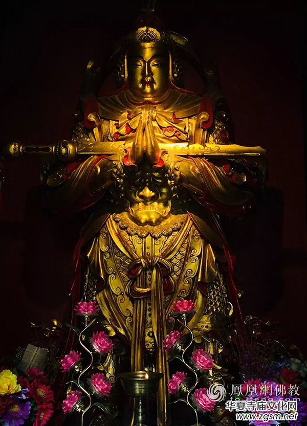 ��ӭ�f�W���_ʥ�Q����Ը���_�o(h��)�ӷ��籊�� �������gһ������