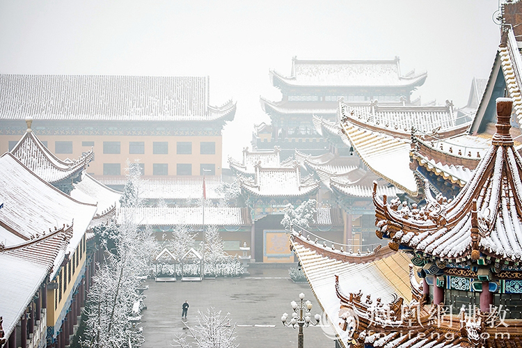 �������D��ѩ��Ĳ�ɽ���X�¸����f��(y��n)