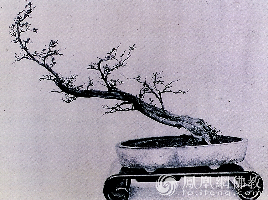 ���ʺ����c���ʸ񣺎X����ˇ�еĪ�(d��)�ط�̖(h��o)