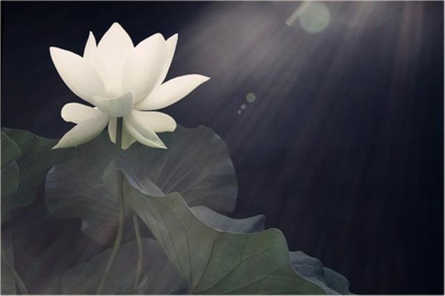 探秘北緯30°緯線上 "江天佛國"與"蓮苞佛國" 探秘北緯30°緯線上 "江天佛國"與"蓮苞佛國"