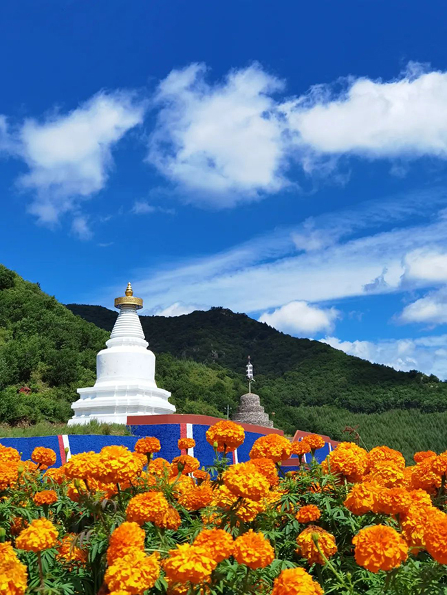 ��ɽ��Ă���ńx�����˾Ͳ�����