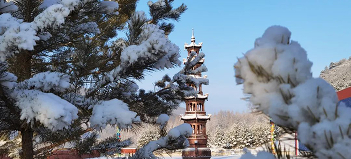 ��ɽ��Ă���ńx�����˾Ͳ�����