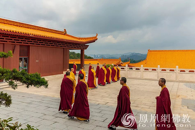 �������挍�������أ��������wĽ��