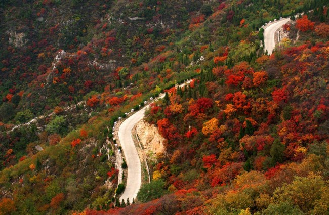 �������ݣ���Ⱦ�ؼ� ���p�t�~