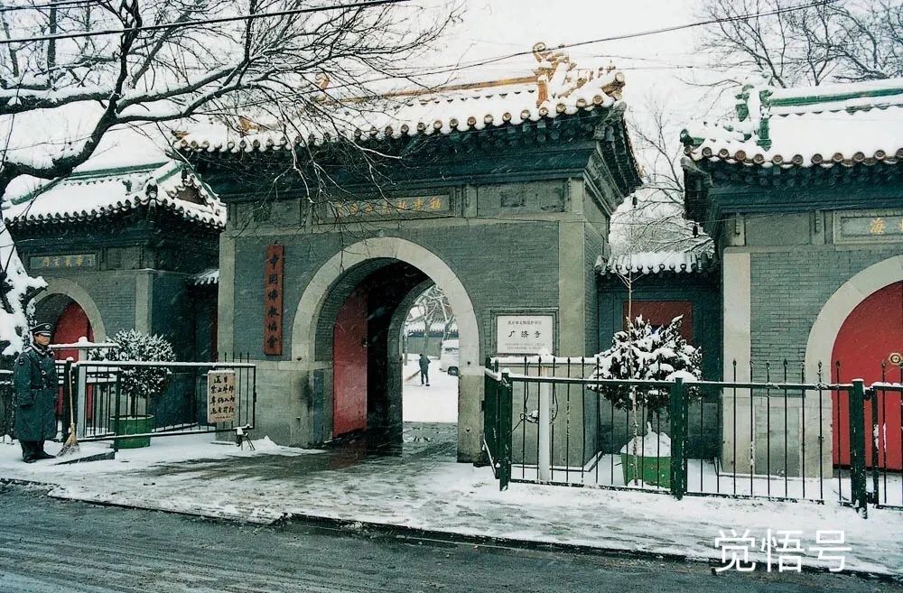 ���ǡ����x�������V����