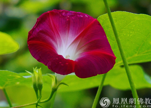 �������Լ��������û�o�e�˿�