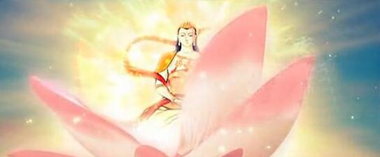 ����ʡǬ���h����F(tu��n)���M(f��i)����