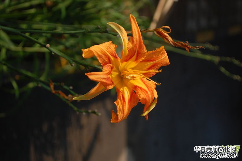 ������Ц�����zӰ��Ʒ�M�D