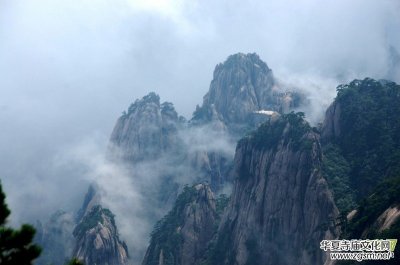 ������Ц�����zӰ��Ʒ�M�D