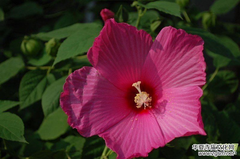 ������Ц�����zӰ��Ʒ�M�D