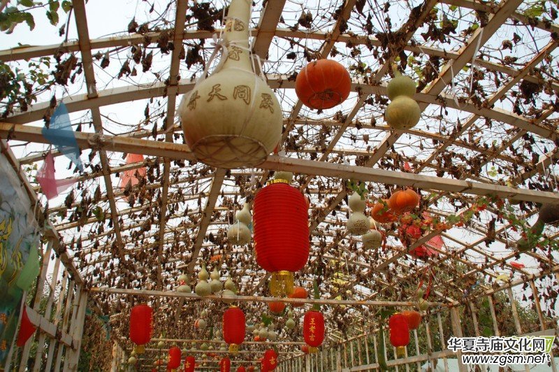 ������Ц�����zӰ��Ʒ�M�D