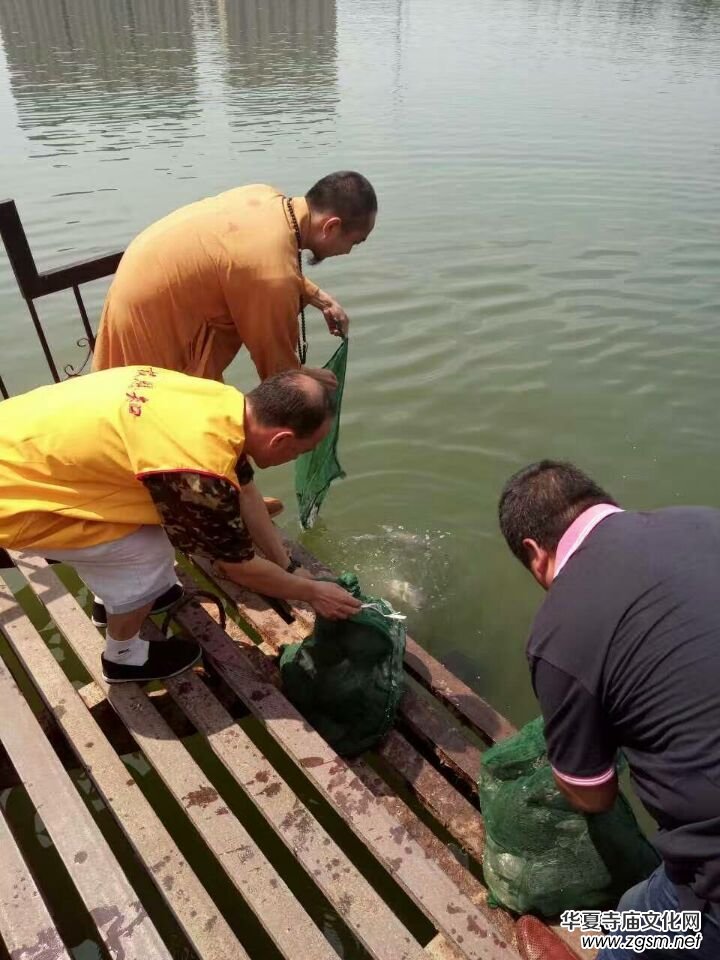 �����·���(hu��)֪ͨ����:�V�����ݷ������ǻ���������I��ҹ���������