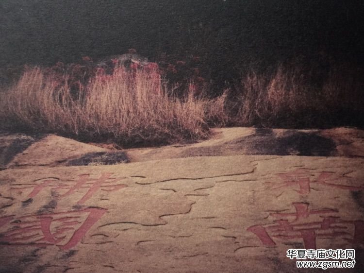 泉南佛國南天禪寺寺興八百周年之文化叢書 泉南佛國南天禪寺寺興八百周年之文化叢書