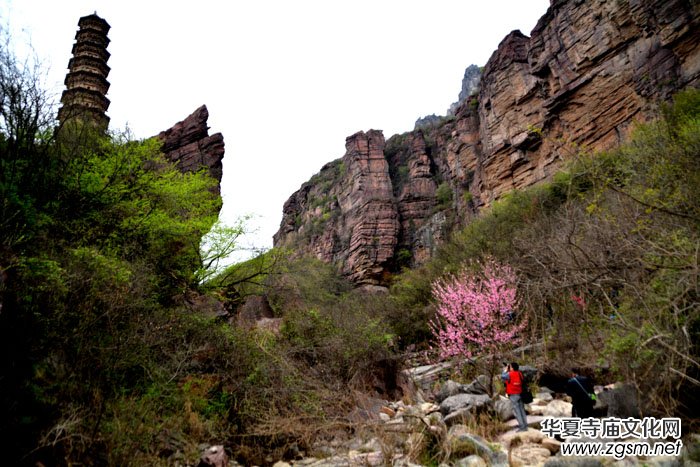 �ټ�?gu��)r������ТŮ������������(gu��)�zӰ