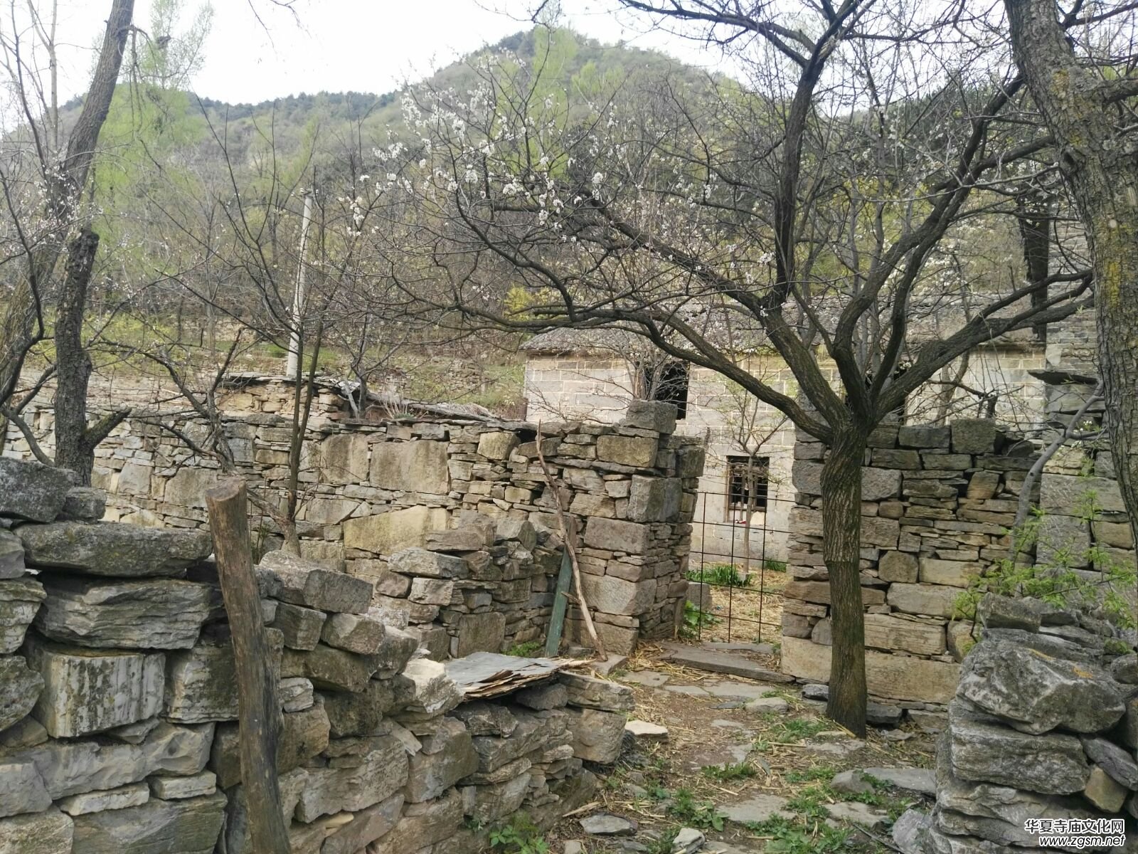 ĸ�H�����e���_�ҡ�����܊�ܘ�(sh��)�ό�����־