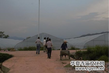 ����(zh��n)��ؚ��ĸ�H����