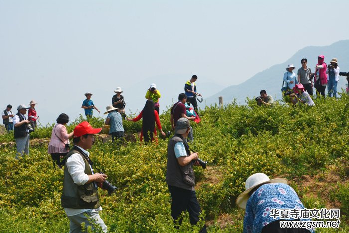 ���y���_(k��i)��������(gu��)�zӰ��Ʒ