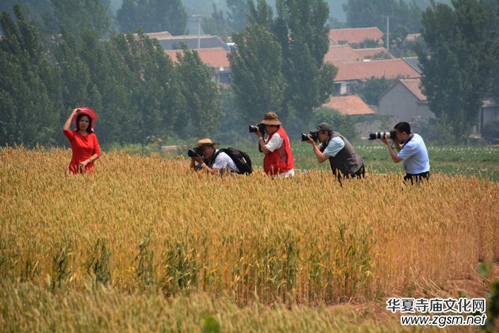 ���y���_(k��i)��������(gu��)�zӰ��Ʒ