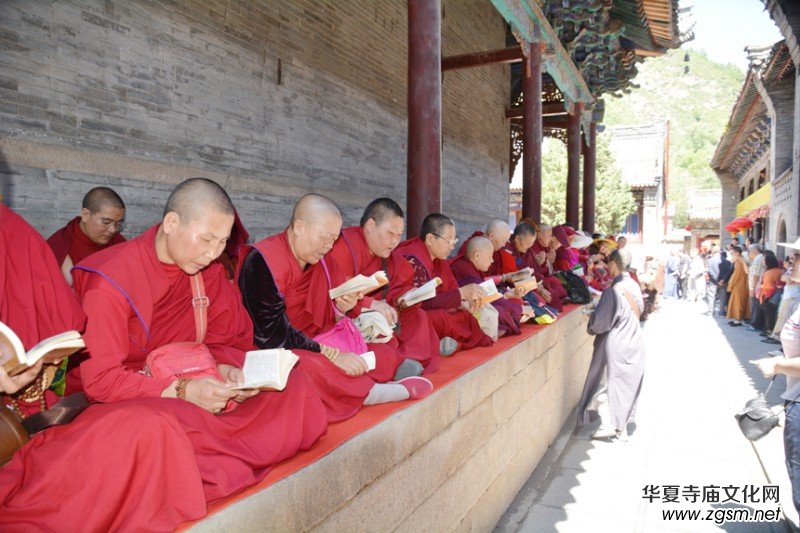 2017�Ї����_ɽǧɮ�S�ۡ������ƽ�����󷨕������������Ԋ�ʼ��d��(chu��ng)����������Ԋ�ĕ����zӰ�P�����ջ���¡���e��