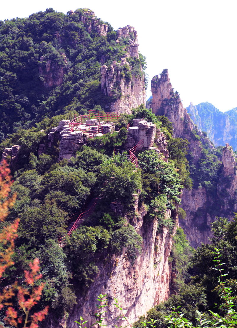 Ԋ(sh��)����ç�X�L(f��ng)��zӰ��������(gu��)��Ʒ