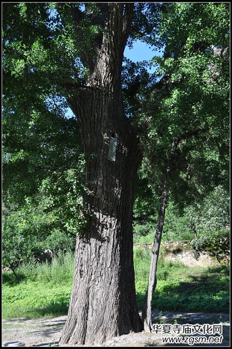 十字寺遺址 十字寺遺址