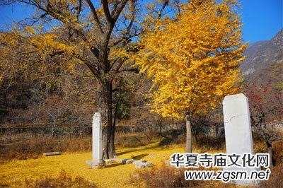 十字寺遺址 十字寺遺址