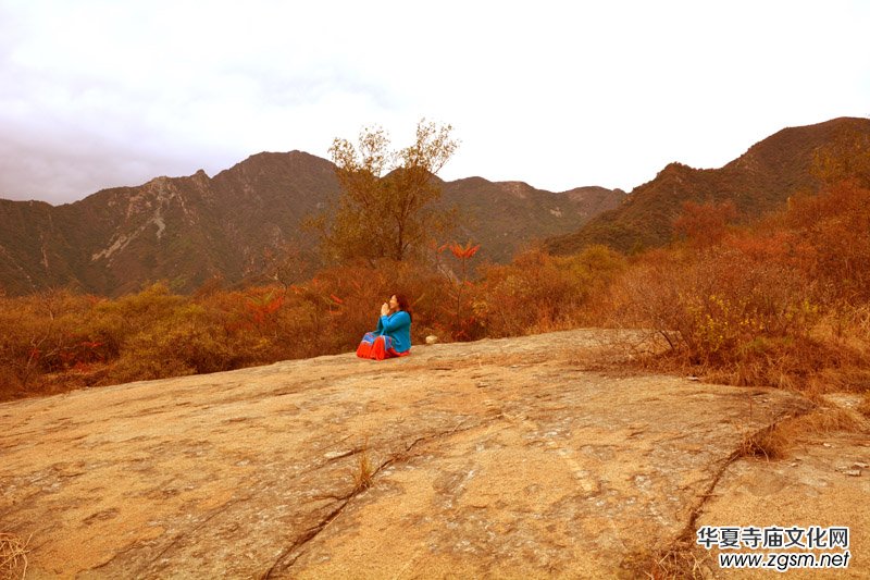 ��������ɽ�zӰ��(xi��)�桪������(gu��)�zӰ��Ʒ