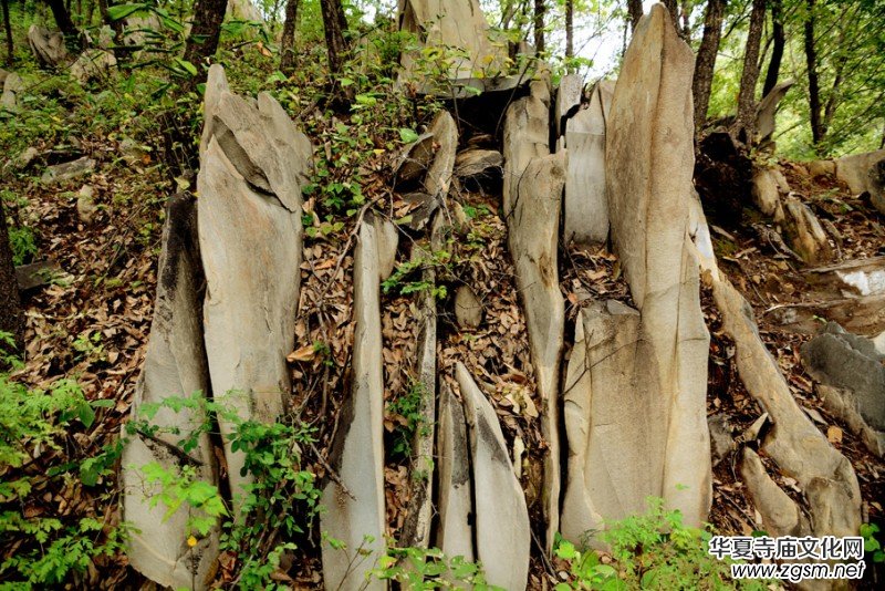 ��������ɽ�zӰ��(xi��)�桪������(gu��)�zӰ��Ʒ