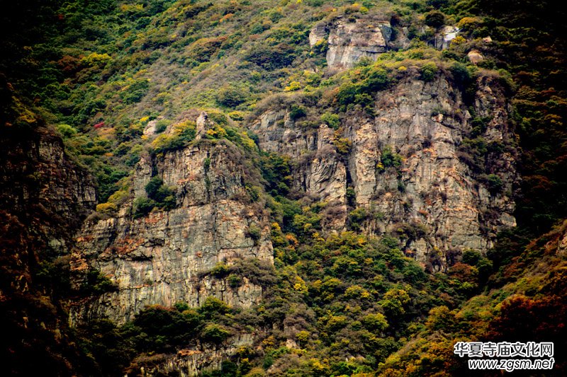 ��������ɽ�zӰ��(xi��)�桪������(gu��)�zӰ��Ʒ