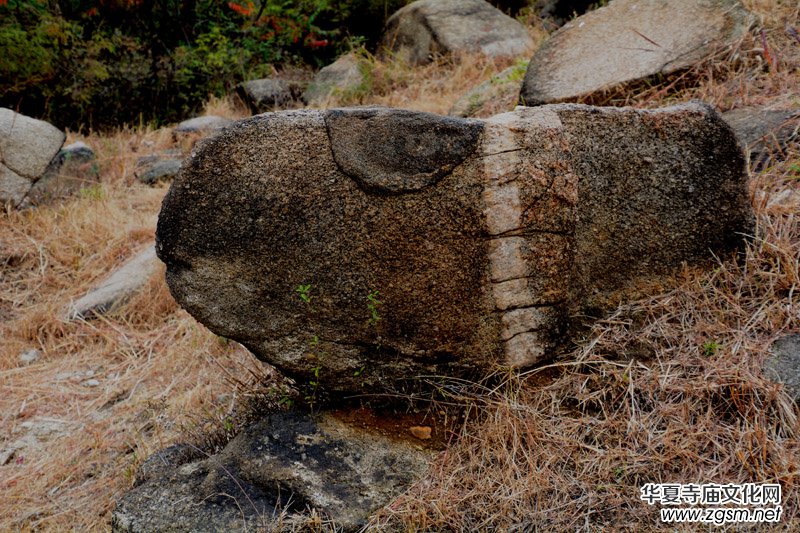 ��������ɽ�zӰ��(xi��)�桪������(gu��)�zӰ��Ʒ