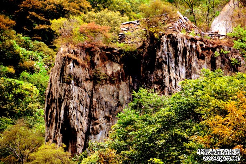 ��������ɽ�zӰ��(xi��)�桪������(gu��)�zӰ��Ʒ