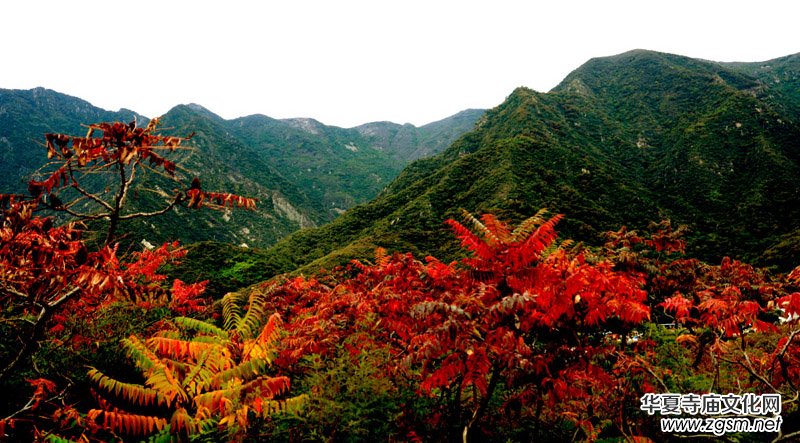 ��������ɽ�zӰ��(xi��)�桪������(gu��)�zӰ��Ʒ