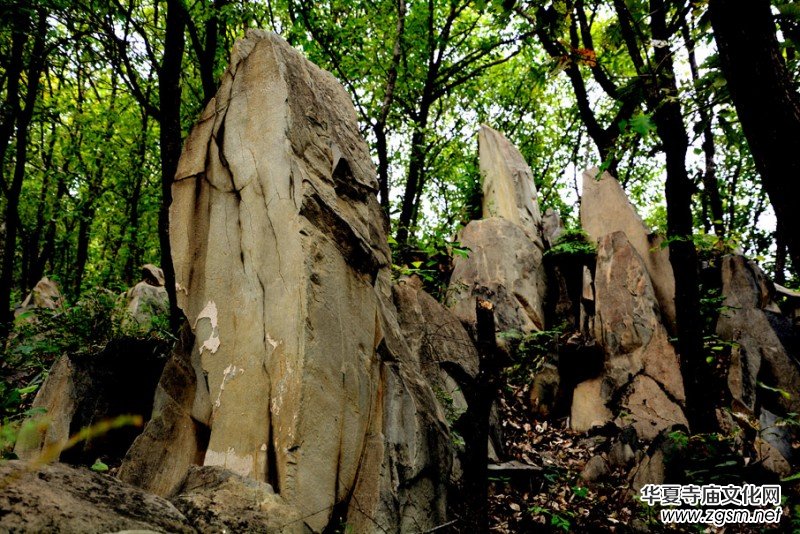 ��������ɽ�zӰ��(xi��)�桪������(gu��)�zӰ��Ʒ