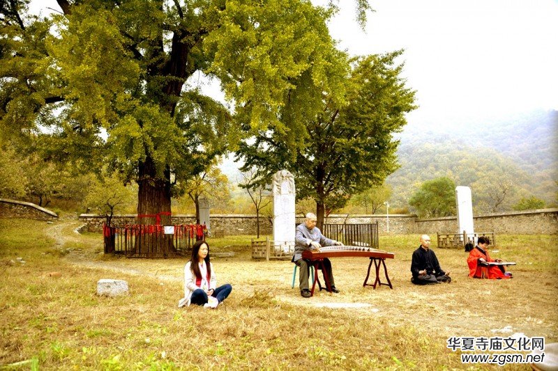 ӛ�ߔzӰ�����M��ɽ����ɽ�L���^(q��)��L