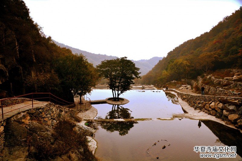 ӛ�ߔzӰ�����M��ɽ����ɽ�L���^(q��)��L