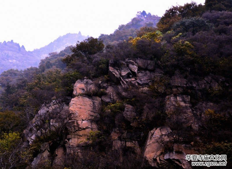 ӛ�ߔzӰ�����M��ɽ����ɽ�L���^(q��)��L