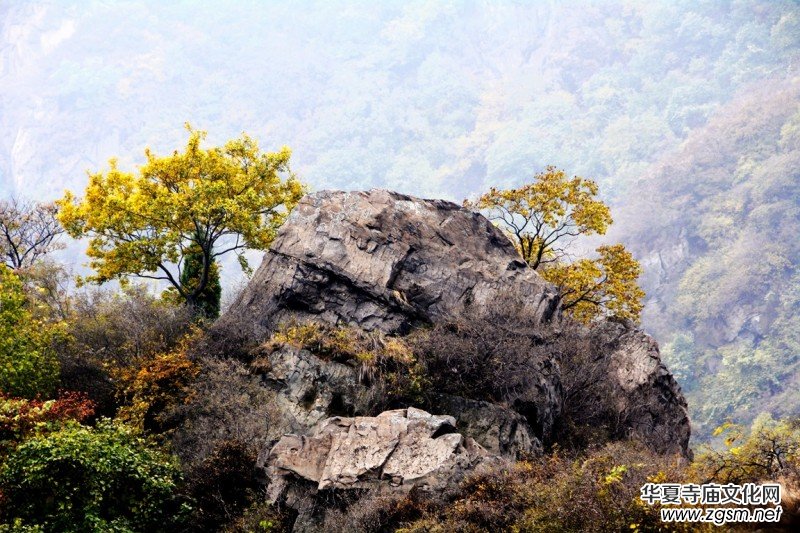 ӛ�ߔzӰ�����M��ɽ����ɽ�L���^(q��)��L