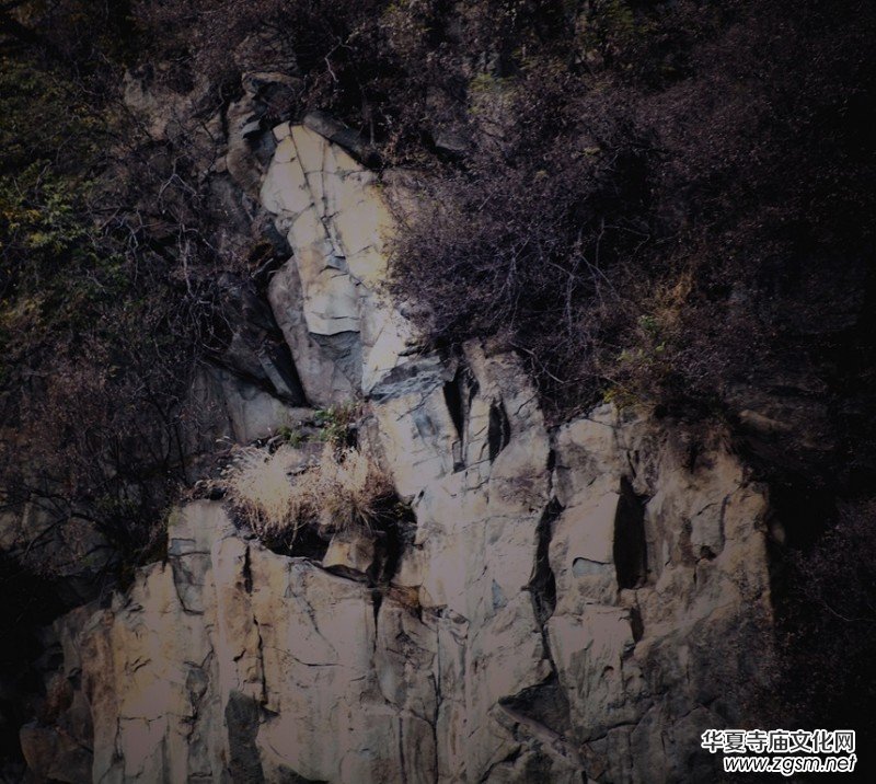 ӛ�ߔzӰ�����M��ɽ����ɽ�L���^(q��)��L