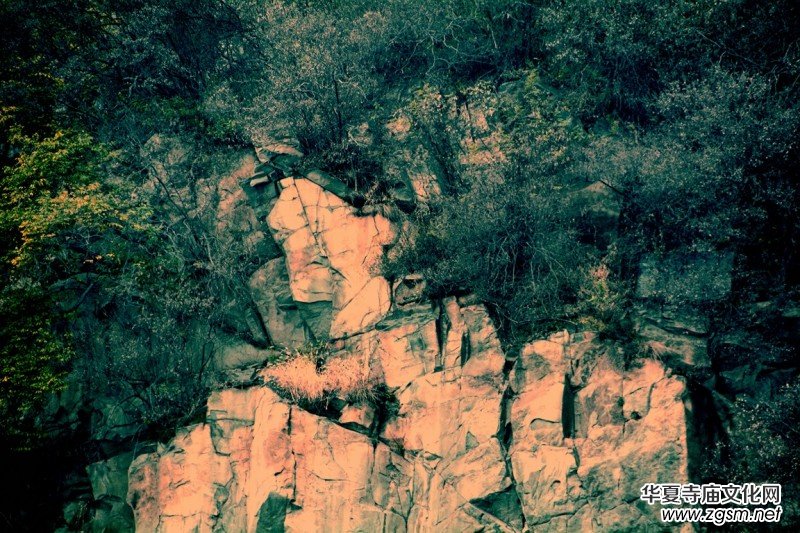 ӛ�ߔzӰ�����M��ɽ����ɽ�L���^(q��)��L