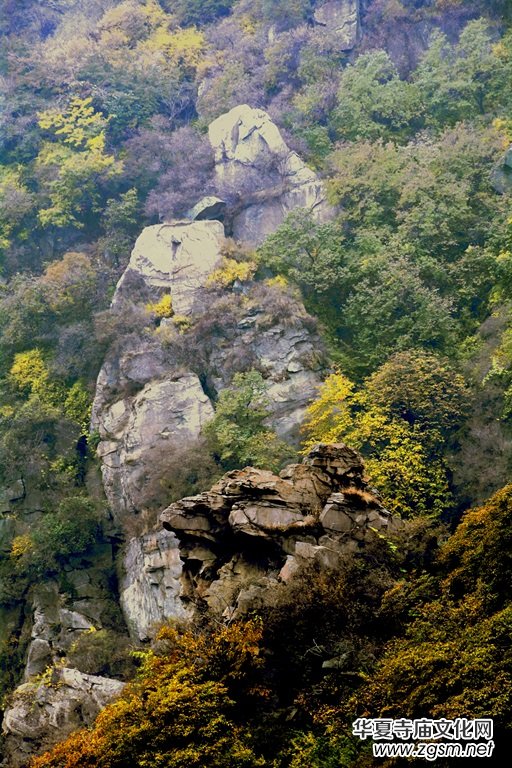 ӛ�ߔzӰ�����M��ɽ����ɽ�L���^(q��)��L