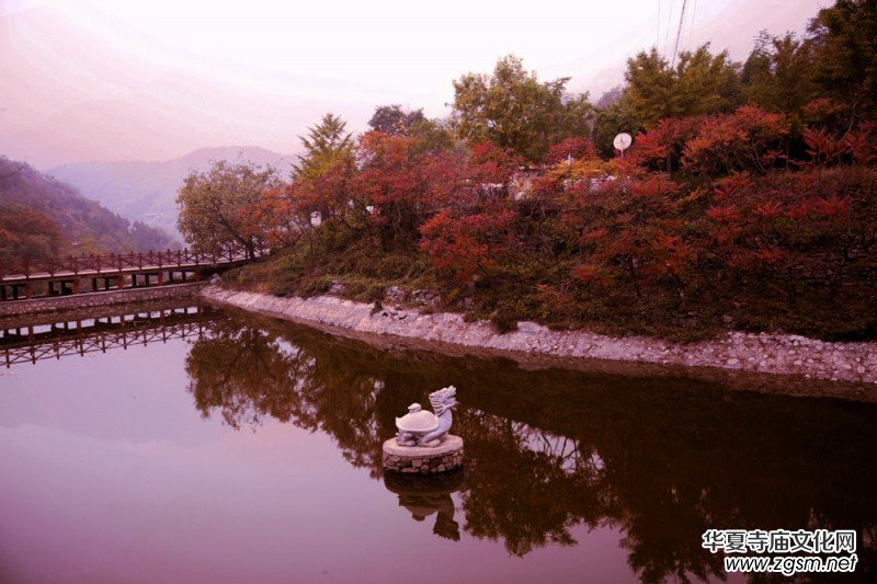 ӛ�ߔzӰ�����M��ɽ����ɽ�L���^(q��)��L