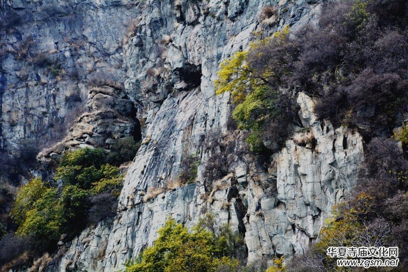 ӛ�ߔzӰ�����M��ɽ����ɽ�L���^(q��)��L