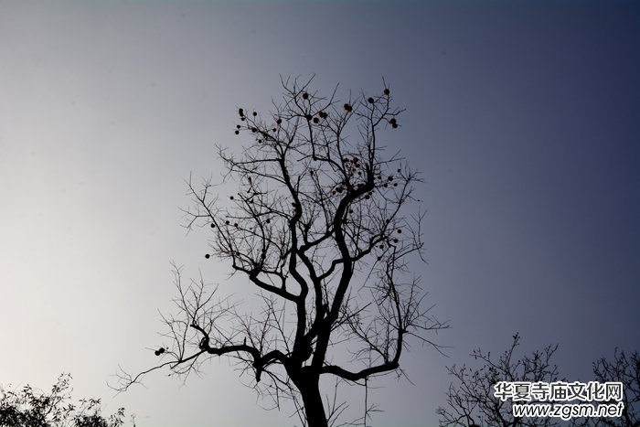 ����ɽ��ʯ�����Ȫ�澰