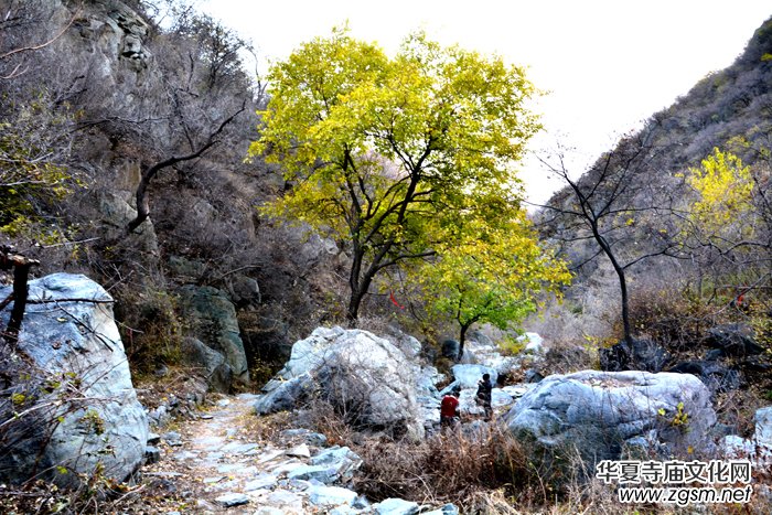 ����ɽ��ʯ�����Ȫ�澰