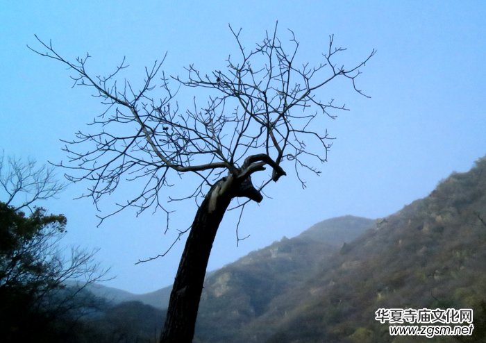 ����ɽ��ʯ�����Ȫ�澰