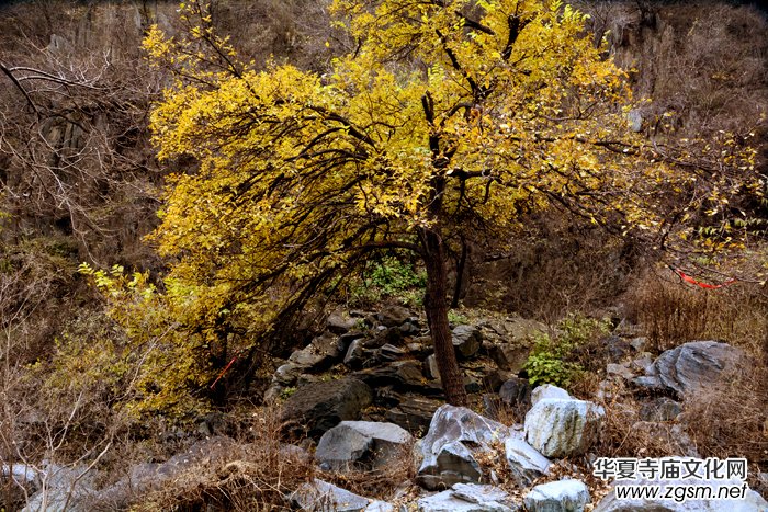 ����ɽ��ʯ�����Ȫ�澰