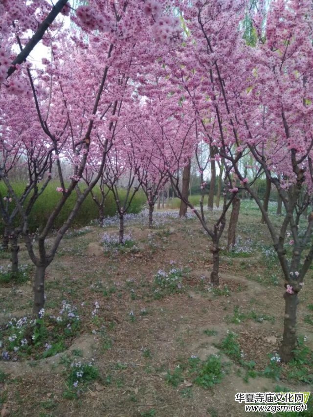 李月2017年度月玲瓏詩(shī)詞博文總匯 李月2017年度月玲瓏詩(shī)詞博文總匯